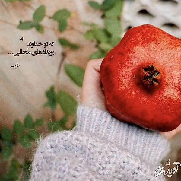 عکس پروفایل یلدا عکس شب یلدا با کیفیت بالا عکس شب یلدا خانوادگی عکس شب یلدا دونفره عکس برای شب یلدا دخترانه عکس شب یلدا 1402 عکس شب یلدا عاشقانه عکس پروفایل یلدا u;s \v,thdg dgnh